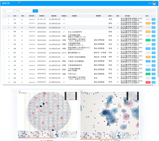 輔助診斷系統(tǒng)